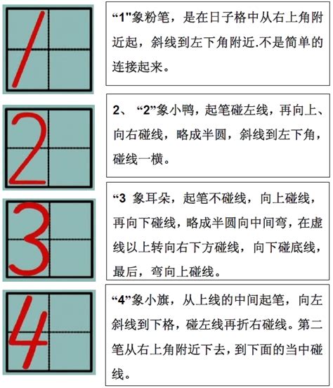 掌握数字1到10的正确书写格式 2