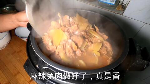 如何烹饪兔子肉更美味？推荐5个视频教程 1