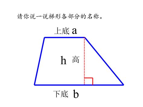 揭秘梯形面积计算的奥秘公式 5