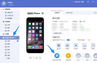 如何在iPhone和iPad上安装并使用PP助手 2