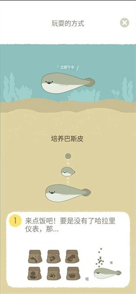 养萨卡班甲鱼 截图3