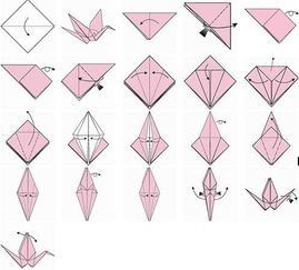 轻松学会！纸鹤折叠教程来啦 4