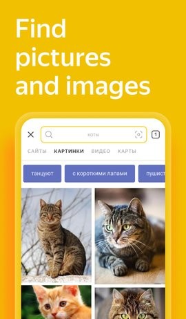 Yandex搜索引擎app 截图2