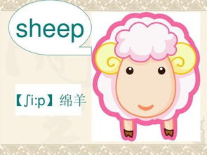 揭秘！Sheep的复数形式竟然是什么？ 3