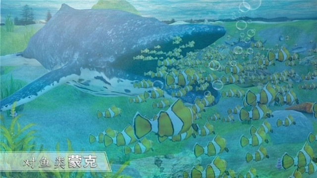 全民养鲨鱼 截图2