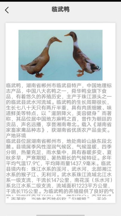 鹅鸭之家 截图3