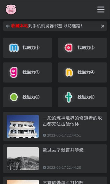 bt磁力猪搜索 截图3