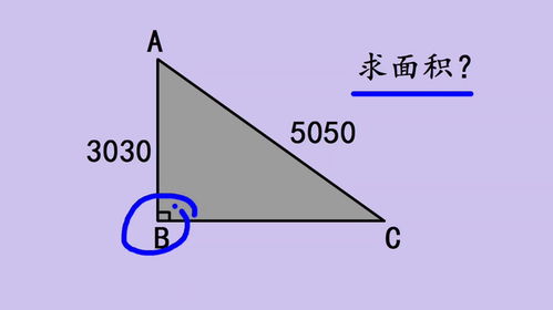 揭秘！三角形面积计算的超简方法，你学会了吗？ 3