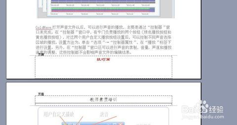 如何仅在其他页设置页眉，首页除外？ 2