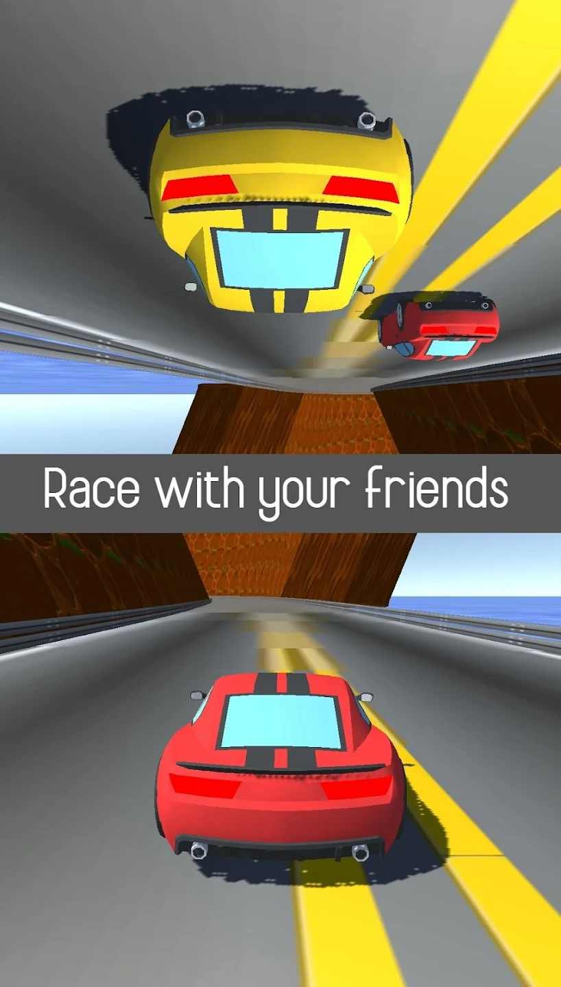 双人赛车3D 1