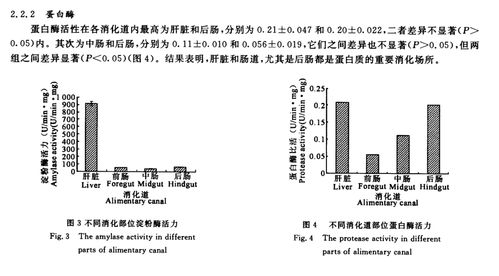 mg和g之间如何进行换算？ 3