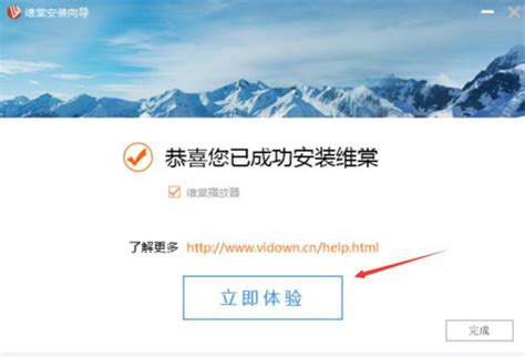 维棠FLV视频下载工具使用指南 2