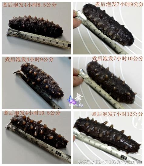 制作干海参的泡发步骤 1