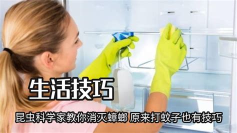 如何有效消灭蟑螂的妙招？ 1