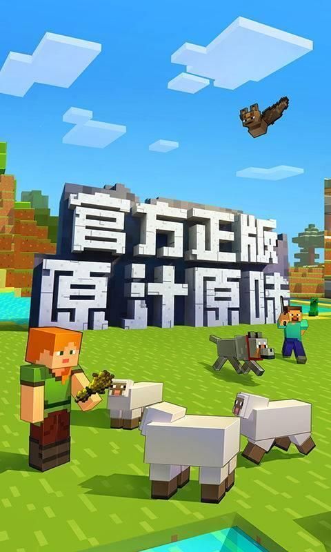 我的世界1.17版 1