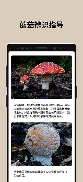 蘑菇识别扫一扫手机版 截图3
