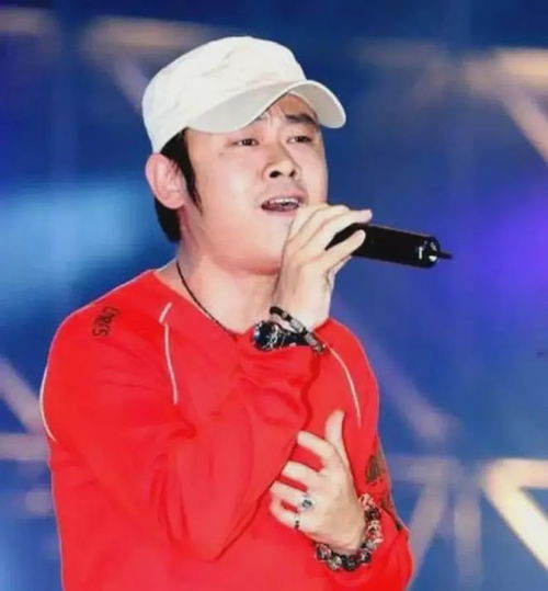 刀郎金曲盛宴，每曲旋律醉人心，让人忍不住单曲循环！ 1