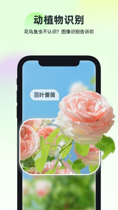 智能识万物 截图4