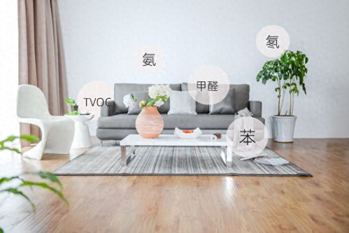 新装修后，轻松告别甲醛的实用妙招！ 4