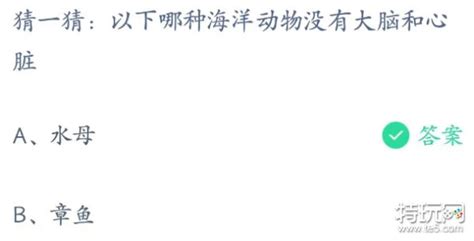 揭秘！竟有海洋动物无大脑与心脏，它是谁？蚂蚁庄园小课堂为你解答！ 5