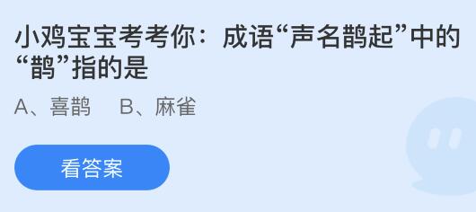 揭秘成语‘声名鹊起’中的‘鹊’，为何它成了成功的象征？ 2