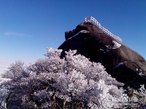 探秘猫儿山：一份详尽的旅行指南 4