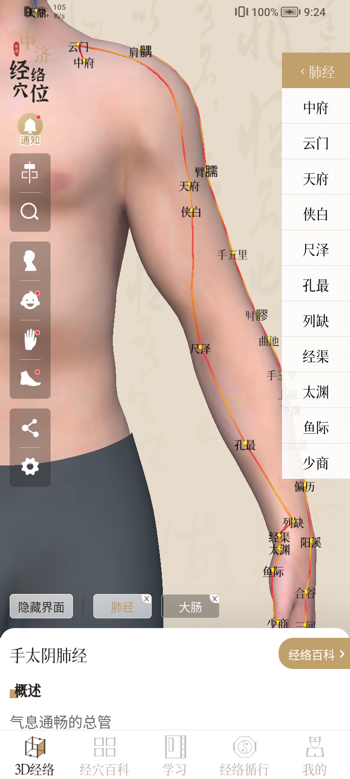 中济经络穴位 截图3