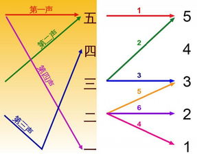 揭秘：乌鸦叫声的声调标注方法 2