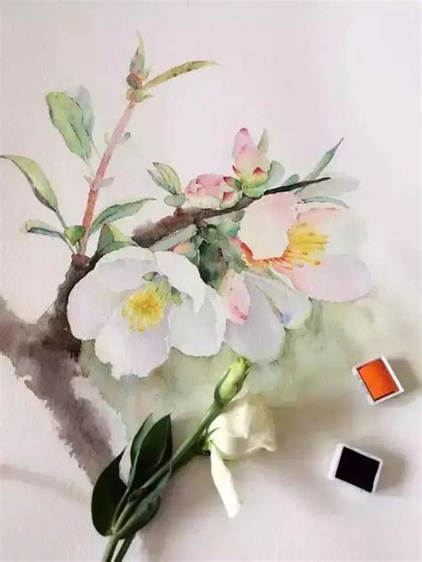 怎样生动描写梨花的外貌特征？ 5