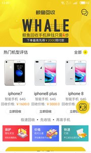 鲸鱼回收 截图2