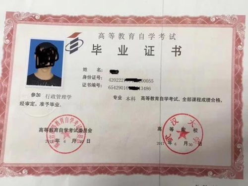 如何快速查询学历证书编号 3