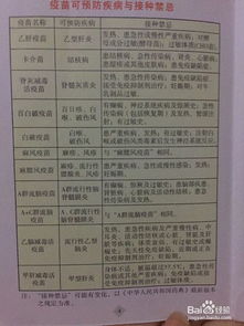 如何轻松查询疫苗批号？ 3