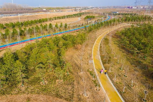 黄河岸边：为何地势竟比郑州市区还要高？ 2