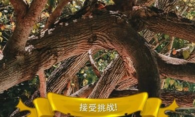 寻找猫：隐藏对象3官方版 1