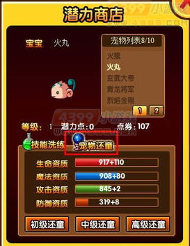 造梦西游3：宠物快速升级终极攻略 1