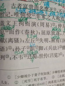 身残志坚的名人：他们是如何克服障碍走向成功的？ 3
