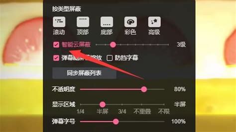 Bilibili电脑端无法显示弹幕解决方案 1