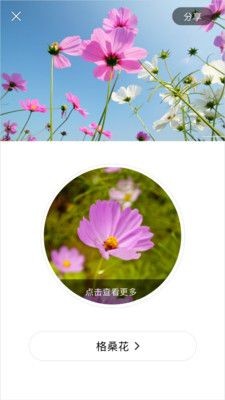 识花君 1