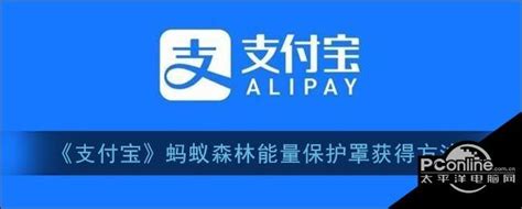 揭秘！支付宝中获取能量保护罩的绝妙方法 2