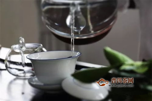 掌握茶叶的完美冲泡技巧 3