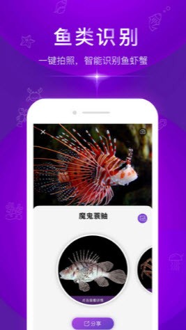 拍照识别鱼品种 1