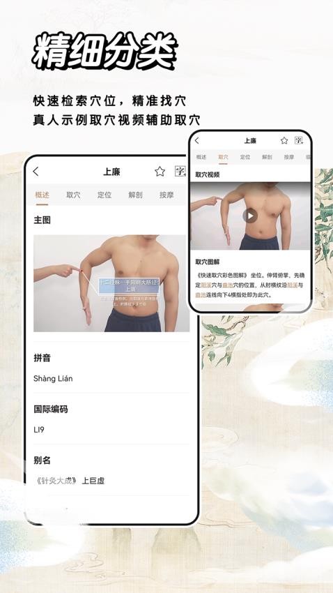 中医经络穴位标准指南 截图3
