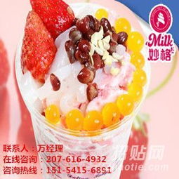 冰淇淋加盟店：解锁盈利飙升的经营秘籍 2