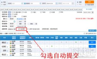 12306网站订票助手：轻松实现自动购票指南 3