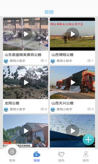 赛鸽助手软件 截图3