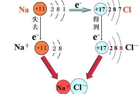 离子键形成机制解析 4