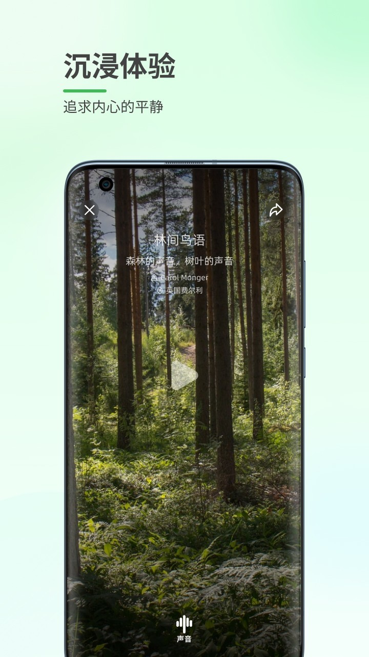 森林白噪音app 截图3