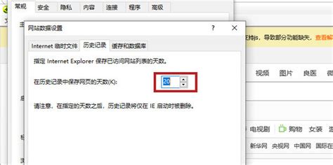 怎样设置或更改IE浏览器保存历史记录的天数？ 4