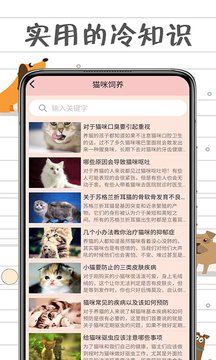 小猫交流器 截图4