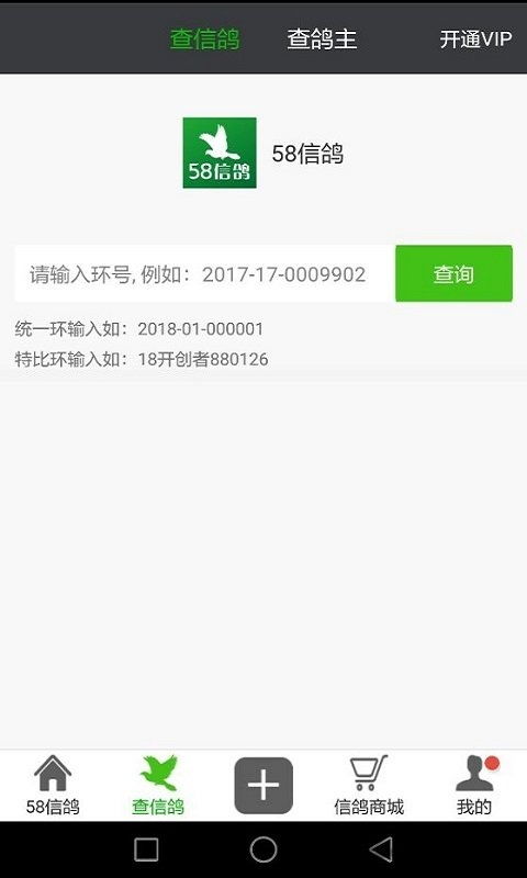 如何查询信鸽足环号对应的比赛成绩？ 2